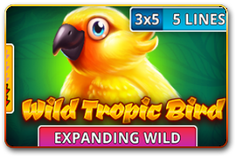 abx_wild_tropic_bird